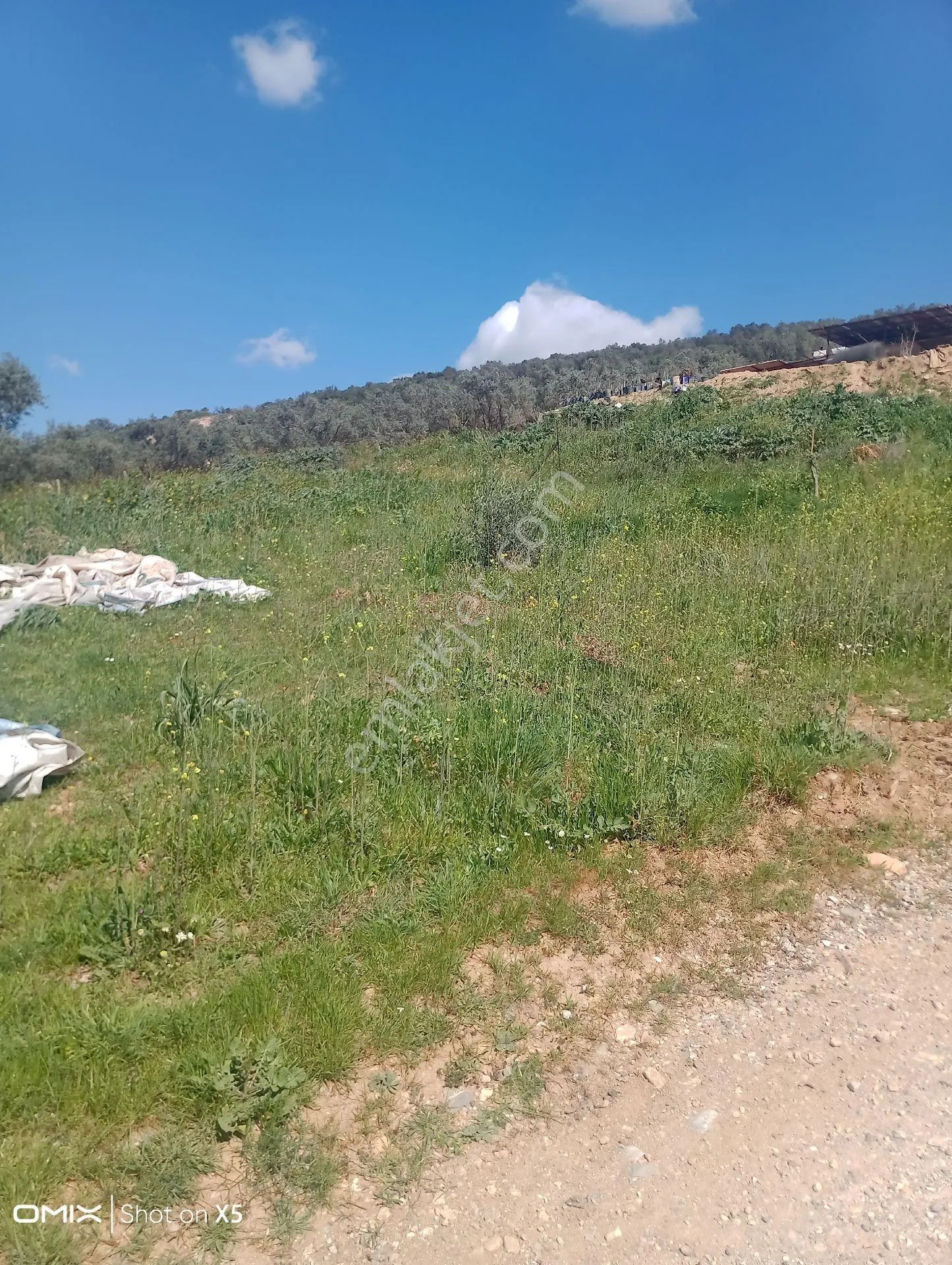 İzmir Torbalı Kuşburun Mahallesi'nde 436m2 Arsa Satılık - İZMİR TORBALI fotoğraf 2