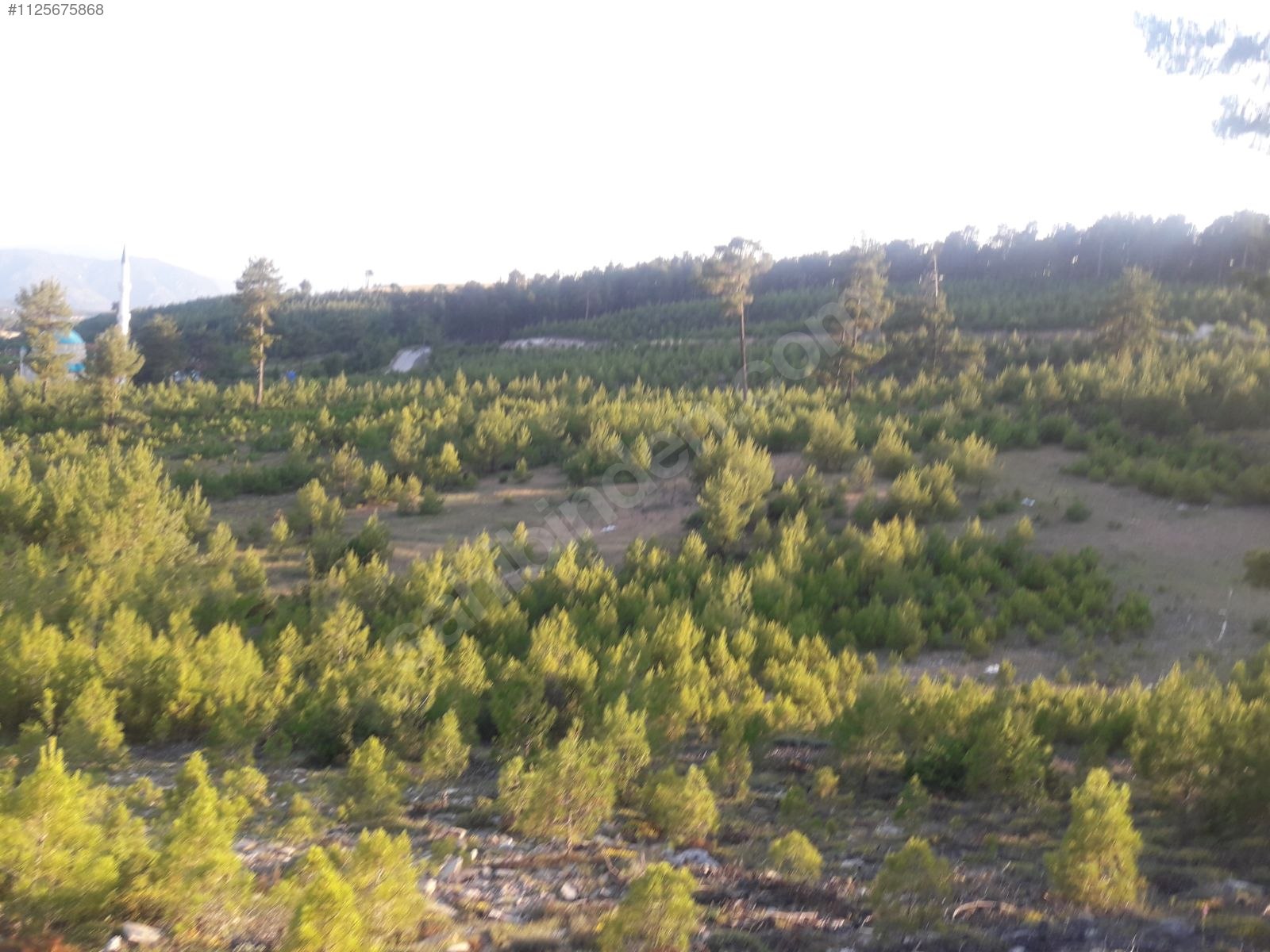 DENİZLİ ÇAMELİ KOLAK KÖYÜNDE  686 M²  ARSA SATILIKTIR - DENİZLİ ÇAMELİ fotoğraf 3