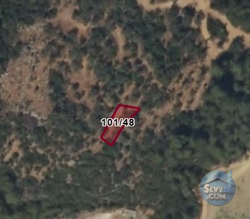 MUĞLA MİLAS ALATEPE DE 275 M² ZEYTİNLİK SATILIKTIR - MUĞLA MİLAS fotoğraf 2