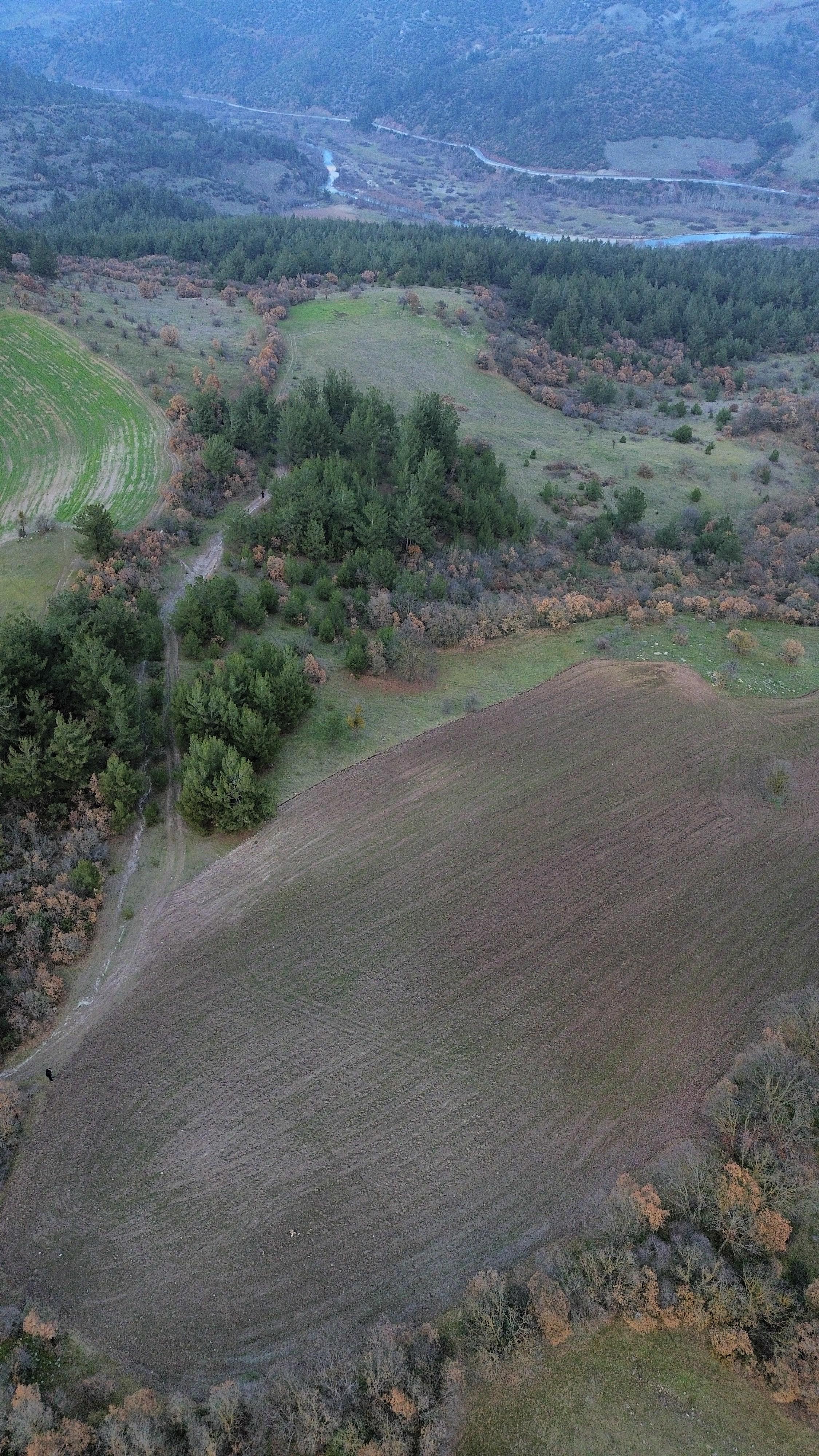 BALIKESİR SINDIRGI OSMANLAR  KÖYÜNDE  9.566   M²  TARLA  SATILIKTIR - BALIKESİR SINDIRGI fotoğraf 14