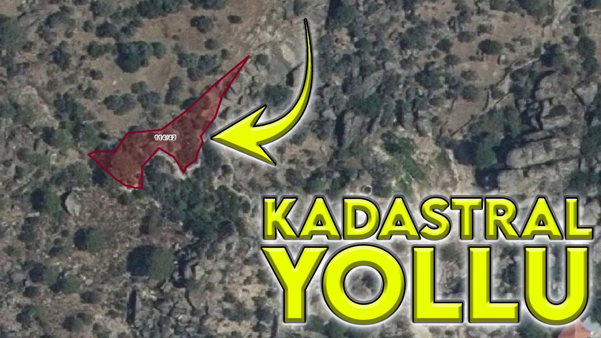 AYDIN KOÇARLI KULLAR 646 M2 FISTIK ÇAM ZEYTİNLİ TARLA SATILIKTIR - AYDIN KOÇARLI fotoğraf 8