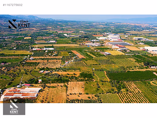 Kemalpaşa Armutlu Satılık 2300 m2 Bahçe Müstakil Parsel Tek Tapu - İZMİR KEMALPAŞA fotoğraf 40