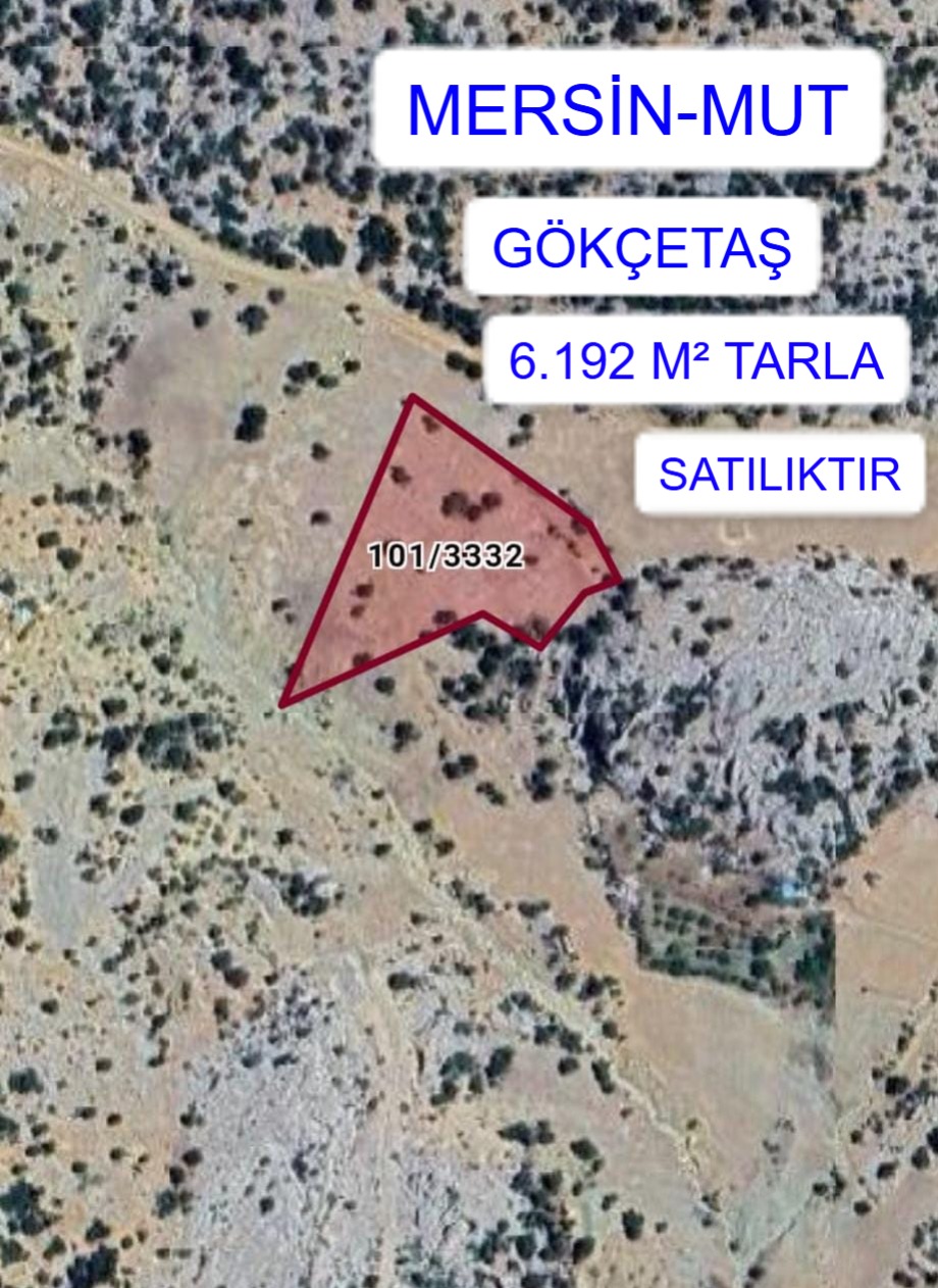 MERSİN MUT GÖKÇETAŞ MAH. 6.192M² TARLA  SATILIKTIR - MERSİN MUT fotoğraf 2