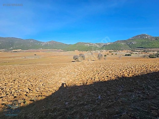 Bucak Seydiköy'de Göl Manzaralı 20 Dönüm Satılık Tarla - BURDUR BUCAK fotoğraf 5
