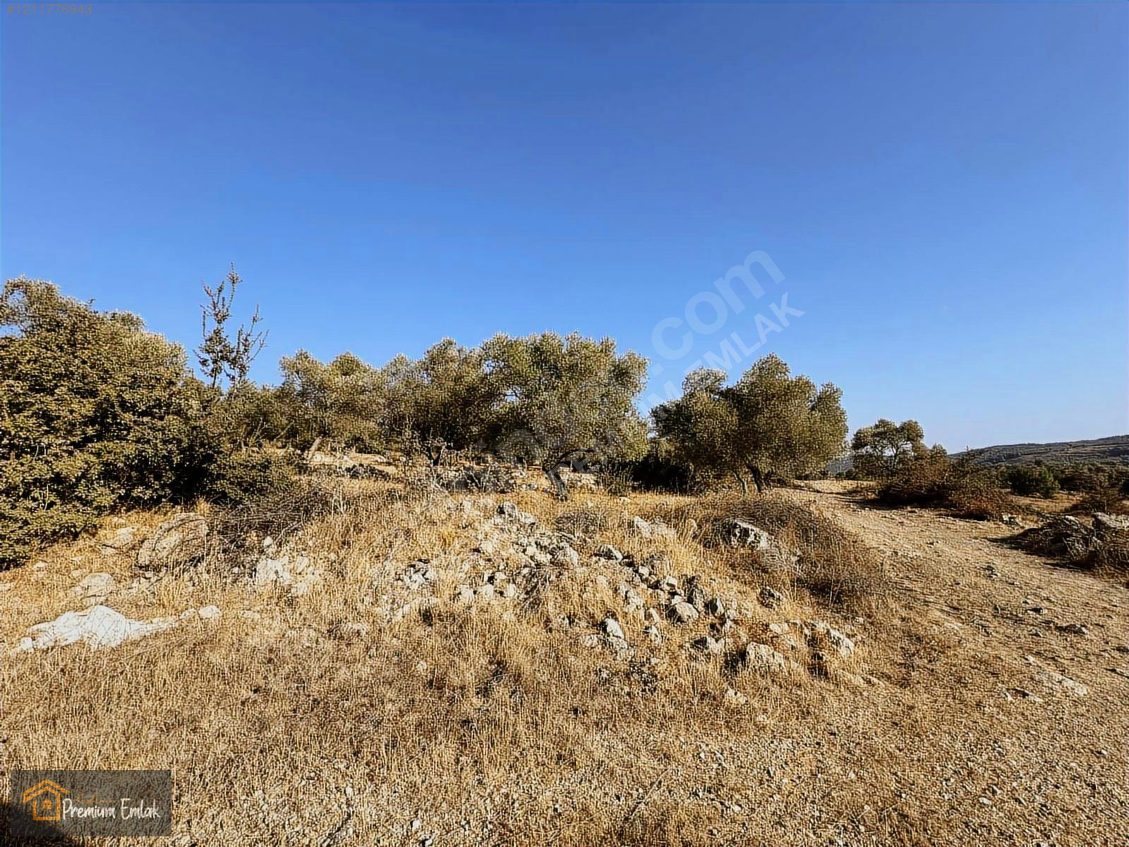 MİLAS KARACAHİSAR MAH.SU ELEKT YOLA SIFIR 10.754mt SATILIK TARLA - MUĞLA MİLAS fotoğraf 12