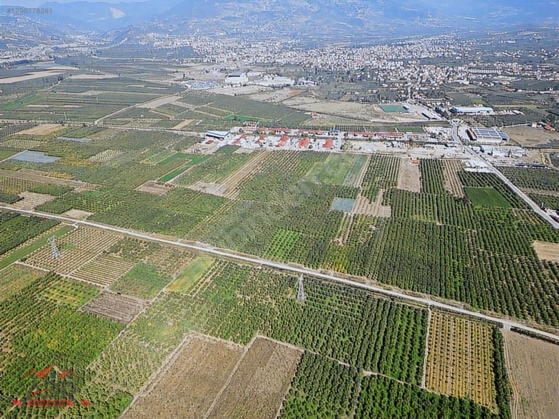 SAKARYA GEYVE UMURBEY MAH. 2444,26 M2 SATILIK TARLA - SAKARYA GEYVE fotoğraf 7