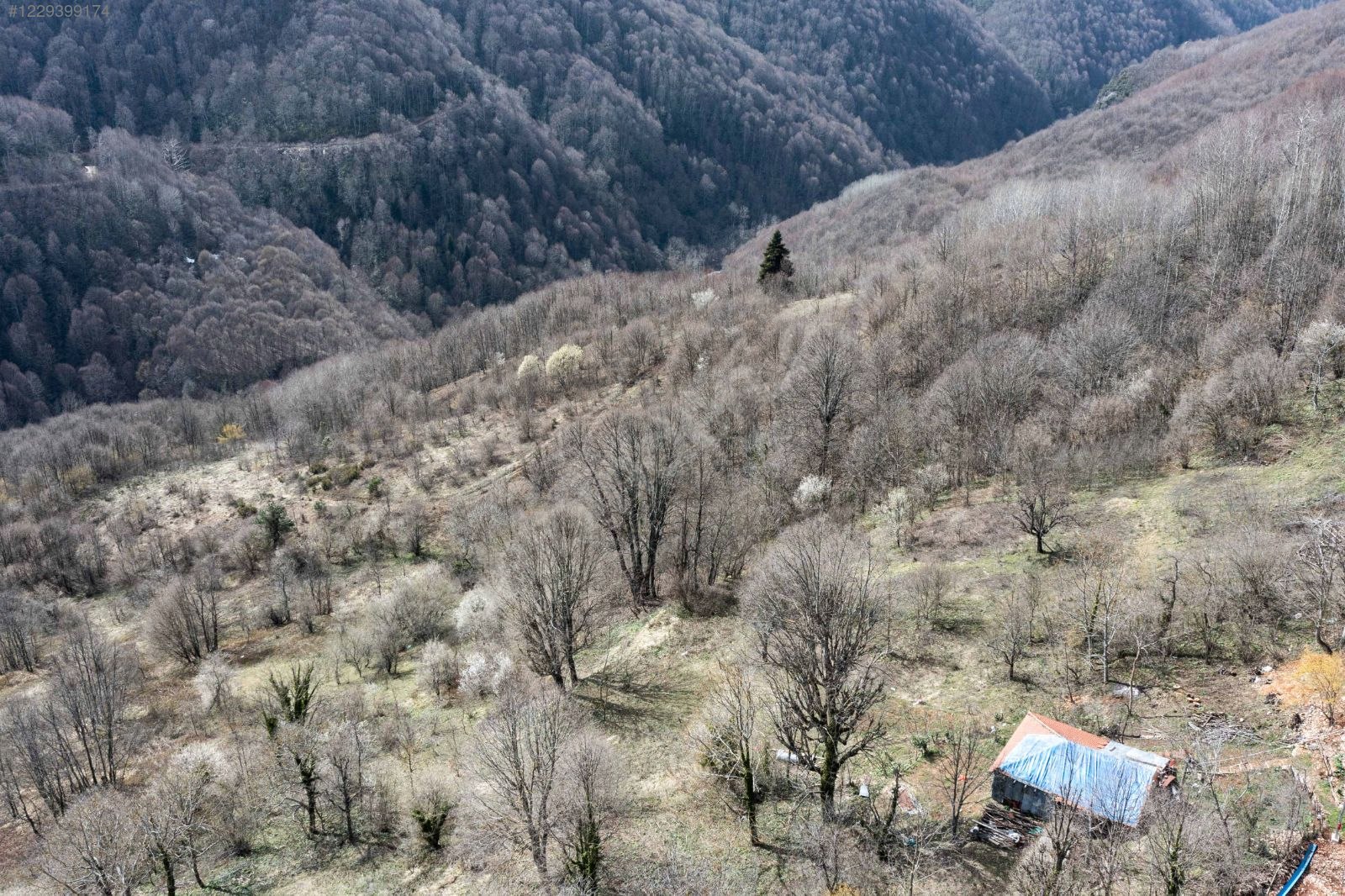 kartepede elektrik yol su mevcut 2.400 m2 istkartal 100 km - KOCAELİ KARTEPE fotoğraf 5