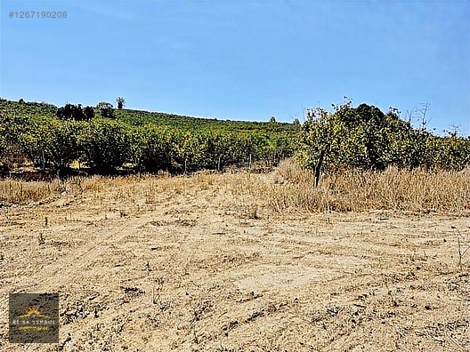KARASU LİMANDERE MAHALLESİNDE SATILIK ARSA - SAKARYA KARASU fotoğraf 2