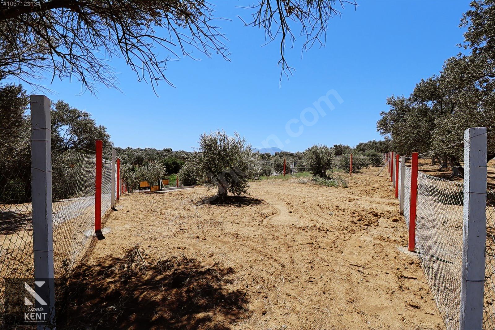 Kemalpaşa Çambel Satılık Bahçe 382 m2 - İZMİR KEMALPAŞA fotoğraf 11