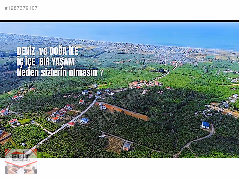YAŞAR SERBEST'ten SATILIK İMARLI UYGUN MUSTAKİL ARSALAR 625M2 - SAKARYA KOCAALİ fotoğraf 2
