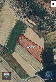 Kuşadası Değirmendere’de Satılık 12.400 m² Bağ, Zeytin ve Ceviz Bahçesi - AYDIN KUŞADASI fotoğraf 9