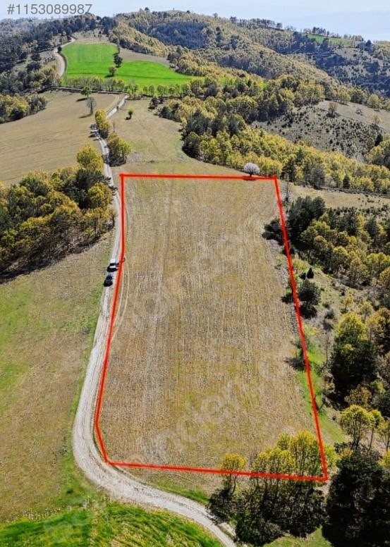 BURSA İZNİK SANSARAK  8.660  M² TARLAMIZ SATILIKTIR - BURSA İZNİK fotoğraf 6