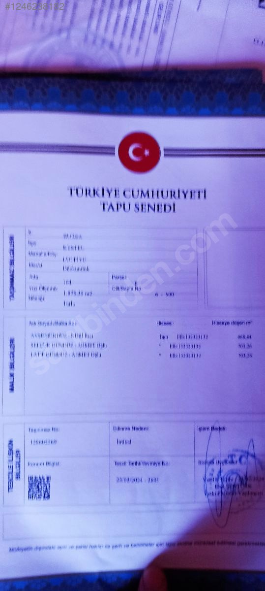 BURSA KESTEL LÜTFİYE KÖYÜNDE  TARLANIN 703 M² Sİ SATILIKTIR. - BURSA KESTEL fotoğraf 6
