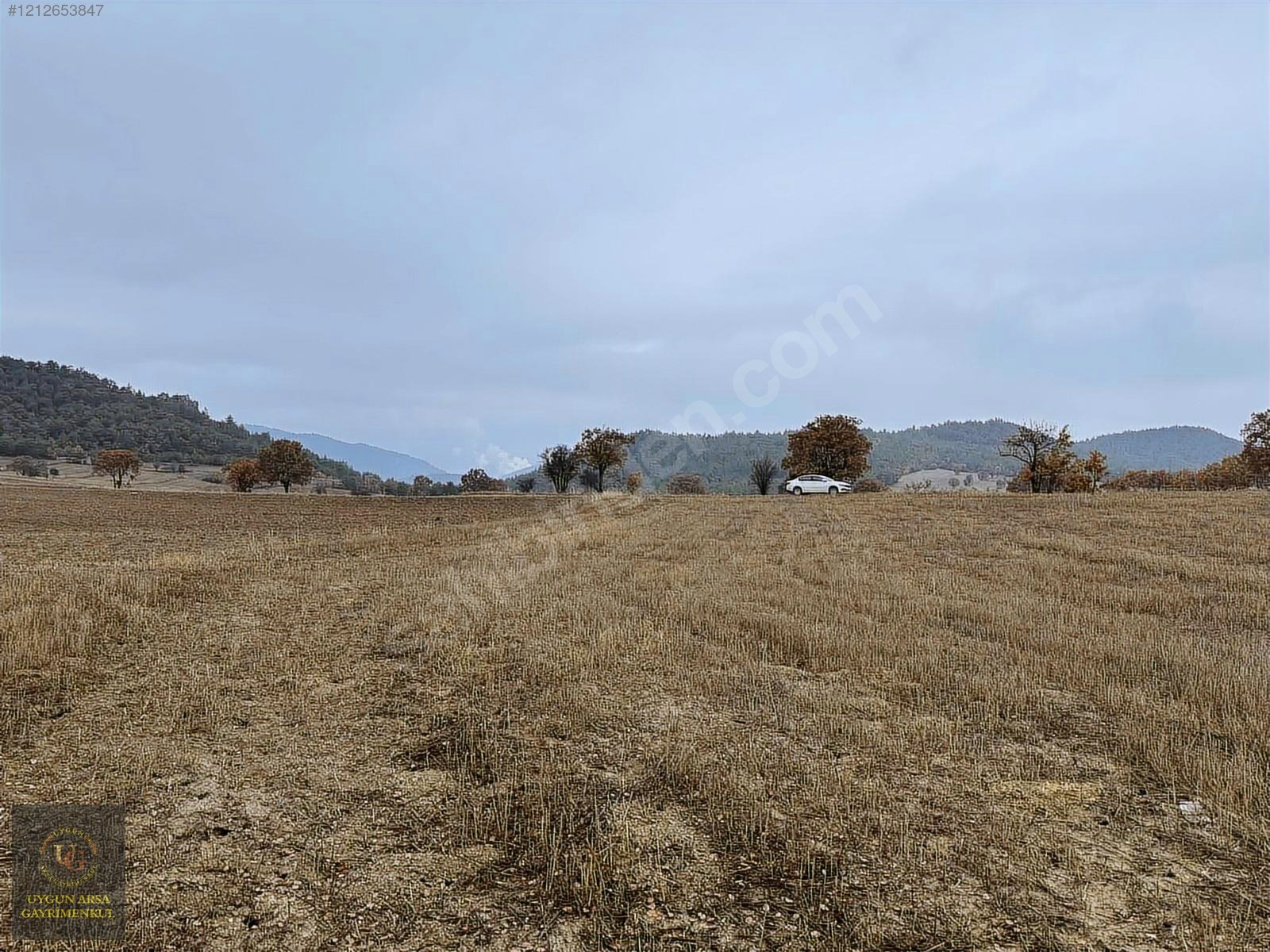 BOLU GÖYNÜK KARAARDIÇ'TA 4.921 M2 UYGUN ARSA - BOLU GÖYNÜK fotoğraf 13