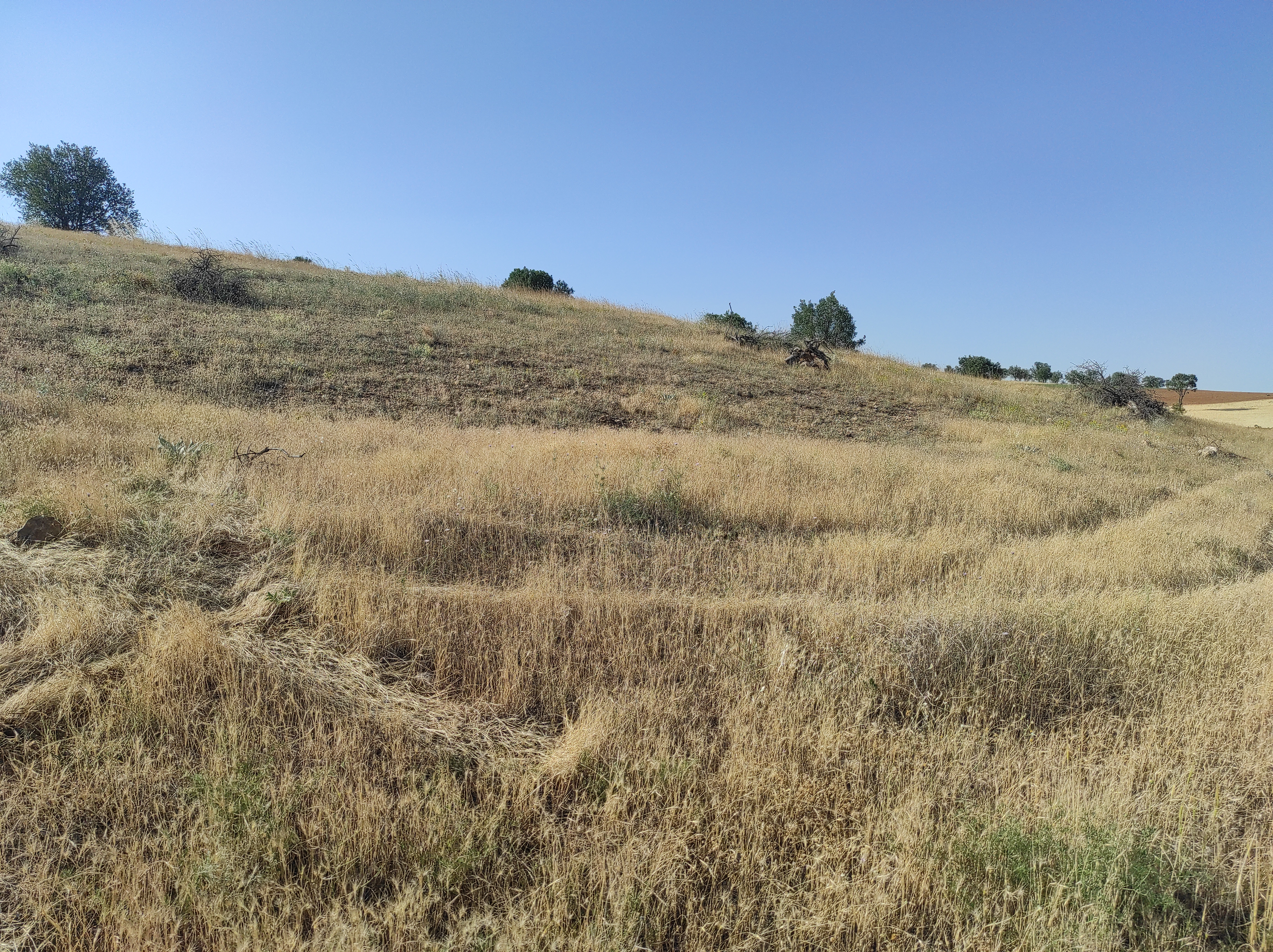 KONYA GÜNEYSINIR AĞRAS  KÖYÜNDE 8.433  M² TARLA  SATILIKTIR - KONYA GÜNEYSINIR fotoğraf 18