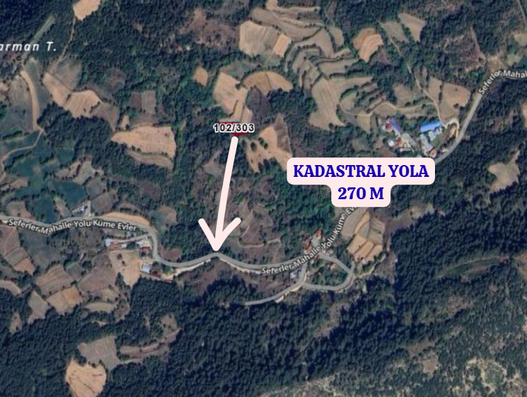 BOLU GÖYNÜK ÇAYLAK    KÖYÜNDE 768  M²  TARLA  SATILIKTIR - BOLU GÖYNÜK fotoğraf 3