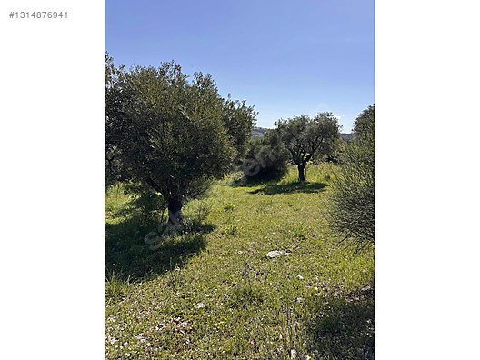 ŞENKÖY MERKEZDE 2893m2 İMARLI ARSA - HATAY YAYLADAĞI fotoğraf 14
