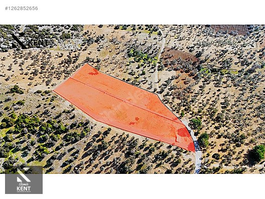 Kemalpaşa Ansızca Satılık 1406 m2 Bahçe - İZMİR KEMALPAŞA fotoğraf 46