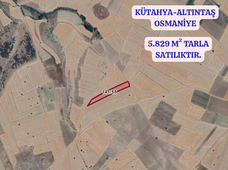 KÜTAHYA ALTINTAŞ OSMANİYE   KÖYÜNDE 5.829  M² TARLA  SATILIKTIR - KÜTAHYA ALTINTAŞ fotoğraf 2