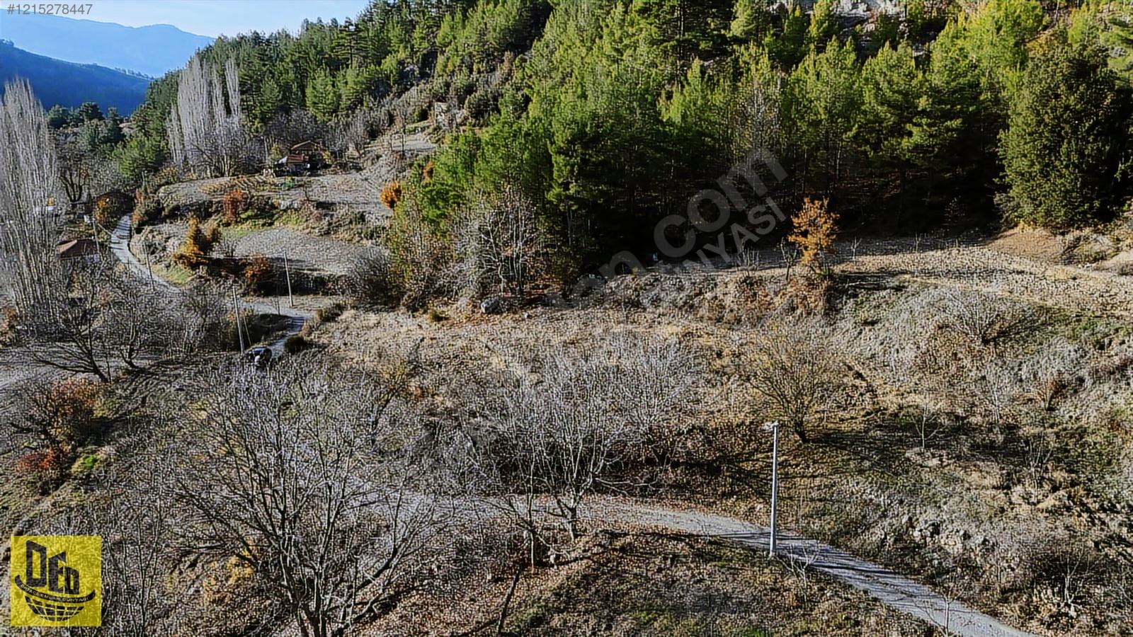 EMECİK 3460m2 YOLA CEPHE ELEKTRİK VE SUYU OLAN CEVİZ BAHÇESİ - DENİZLİ ÇAMELİ fotoğraf 4