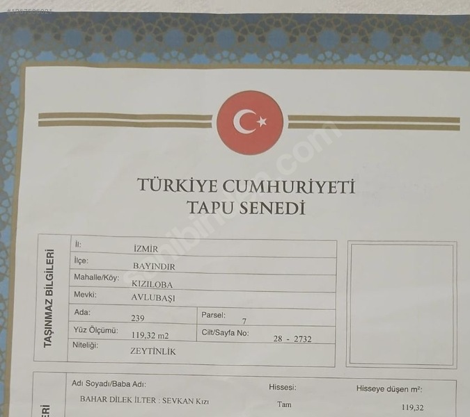 İZMİR BAYINDIR KIZILOBA  KÖYÜNDE 119 M² ZEYTİNLİK  SATILIKTIR - İZMİR BAYINDIR fotoğraf 14