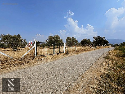 Kemalpaşa Bağyurdu Satılık 5650 m2 Bahçe - İZMİR KEMALPAŞA fotoğraf 7