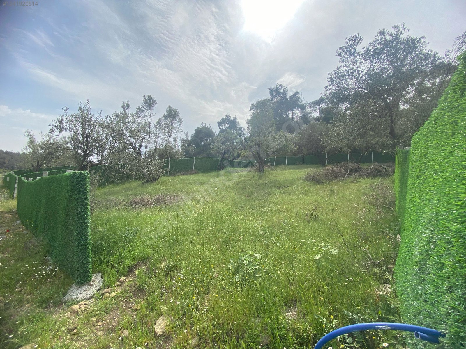 İZMİR-ALİAĞA-BOZKÖY’DE TARLA’NIN 300 M² ‘Sİ SATILIKTIR - İZMİR ALİAĞA fotoğraf 30