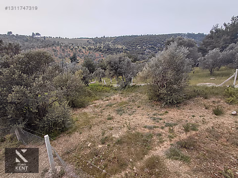Kemalpaşa Yenmiş'de Satılık Bahçe 406 m2 - İZMİR KEMALPAŞA fotoğraf 3