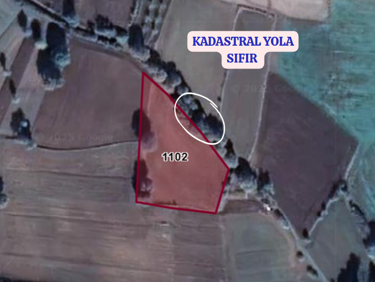 BURSA KARACABEY TAŞPINAR KÖYÜNDE 2.750 M² TARLA SATILIKTIR - BURSA KARACABEY fotoğraf 3