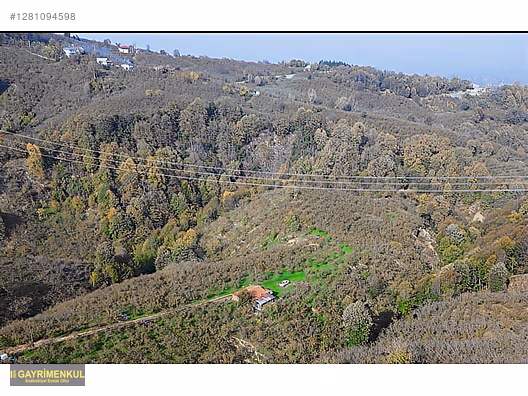 FIRSAT SAKARYA KARAPÜRÇEK İNÖNÜDE EV VE 16 DÖNÜM FINDIK BAHÇESİ - SAKARYA KARAPÜRÇEK fotoğraf 10