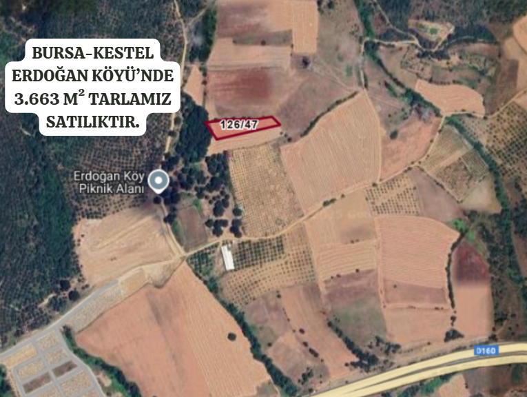 BURSA KESTEL ERDOĞAN KÖYÜ'NDE 3.663  M² TARLA SATILIKTIR - BURSA KESTEL fotoğraf 2