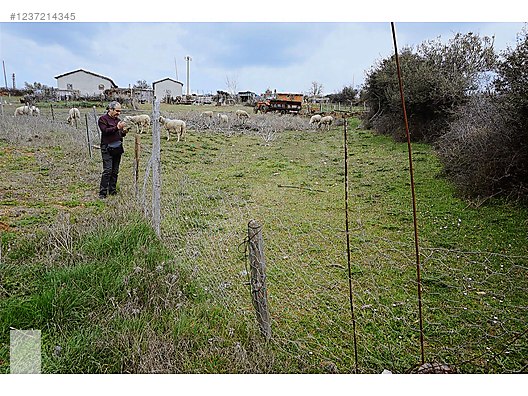 ÇANAKKALE BAYRAMİÇ TEPECİK MAH 258 m2 ARSA - ÇANAKKALE BAYRAMİÇ fotoğraf 14