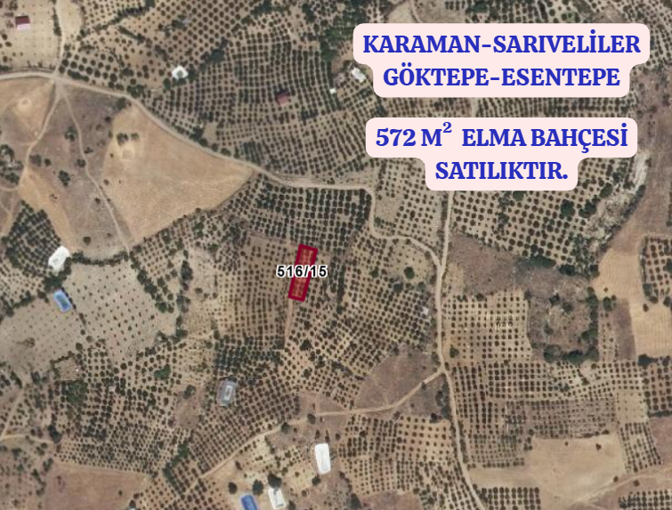 KARAMAN SARIVELİLER GÖKTEPE-ESENTEPE   KÖYÜNDE  572  M²  ELMA BAHÇESİ SATILIKTIR - KARAMAN SARIVELİLER fotoğraf 2