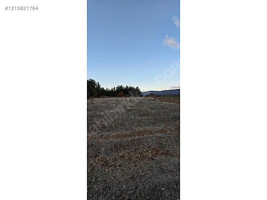 BURSA KELES KIRANIŞIKLAR KÖYÜNDE  658  M² BAĞ SATILIKTIR - BURSA KELES fotoğraf 7