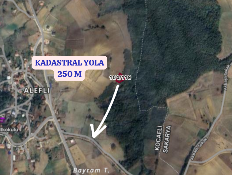 KOCAELİ KANDIRA ALEFLİ KÖYÜNDE 701 M²  FINDIK BAHÇESİ  SATILIKTIR - KOCAELİ KANDIRA fotoğraf 3