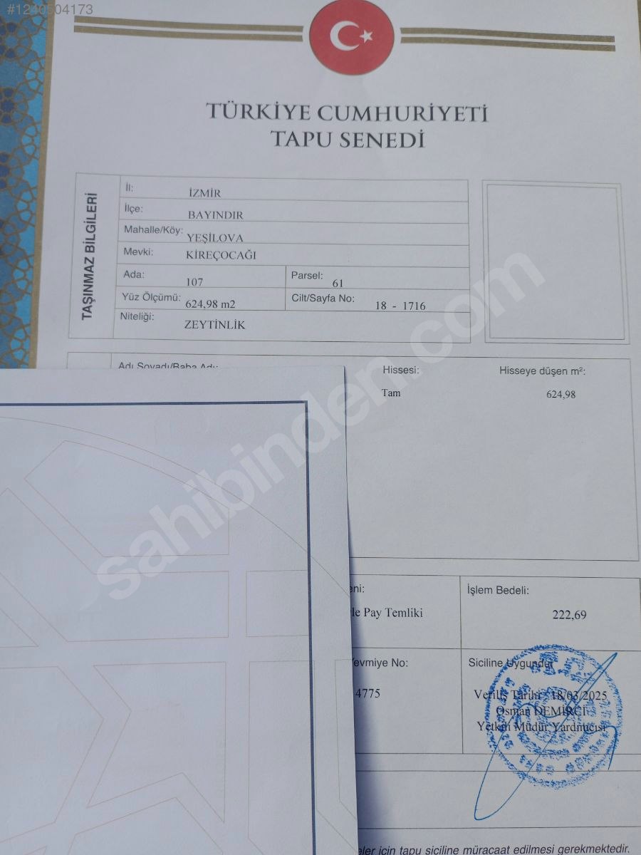İZMİR BAYINDIR YEŞİLOVA  KÖYÜNDE 624  M² ZEYTİNLİK  SATILIKTIR - İZMİR BAYINDIR fotoğraf 16
