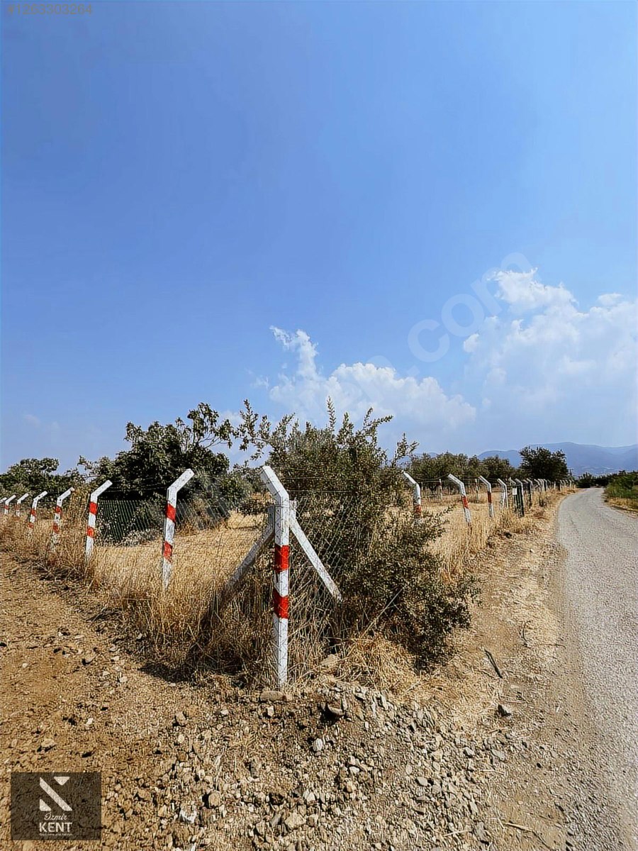Kemalpaşa Bağyurdu Satılık 5650 m2 Bahçe - İZMİR KEMALPAŞA fotoğraf 17
