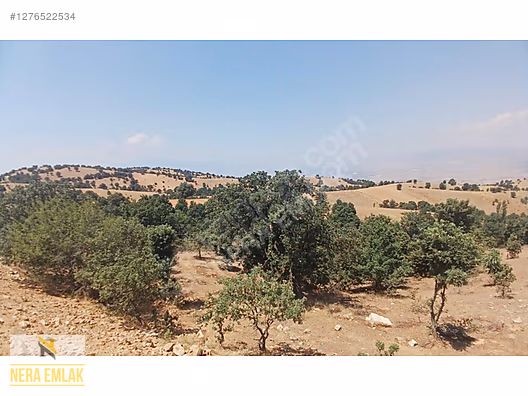SARIGÖL YENİKÖY'DE ARAÇ TAKASLI UYGUN TEK TAPU 12.190m2 TARLA - MANİSA SARIGÖL fotoğraf 14