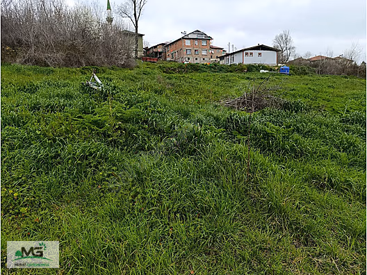 KOCAELİ KANDIRA KOCAKAYMAZ KELEPİR ARSA - KOCAELİ KANDIRA fotoğraf 6
