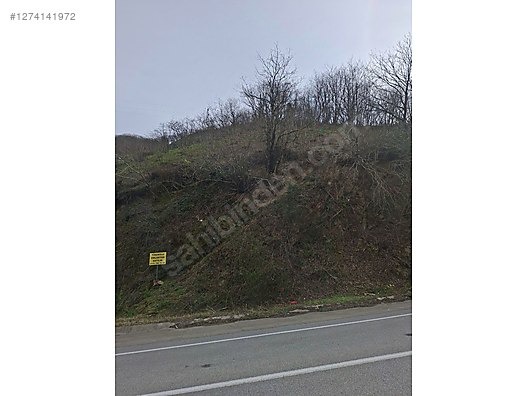 TİREBOLU KUZGUN KÖYÜNDE ANA YOLA CEPHE FINDIK BAHÇESİ - GİRESUN TİREBOLU fotoğraf 2