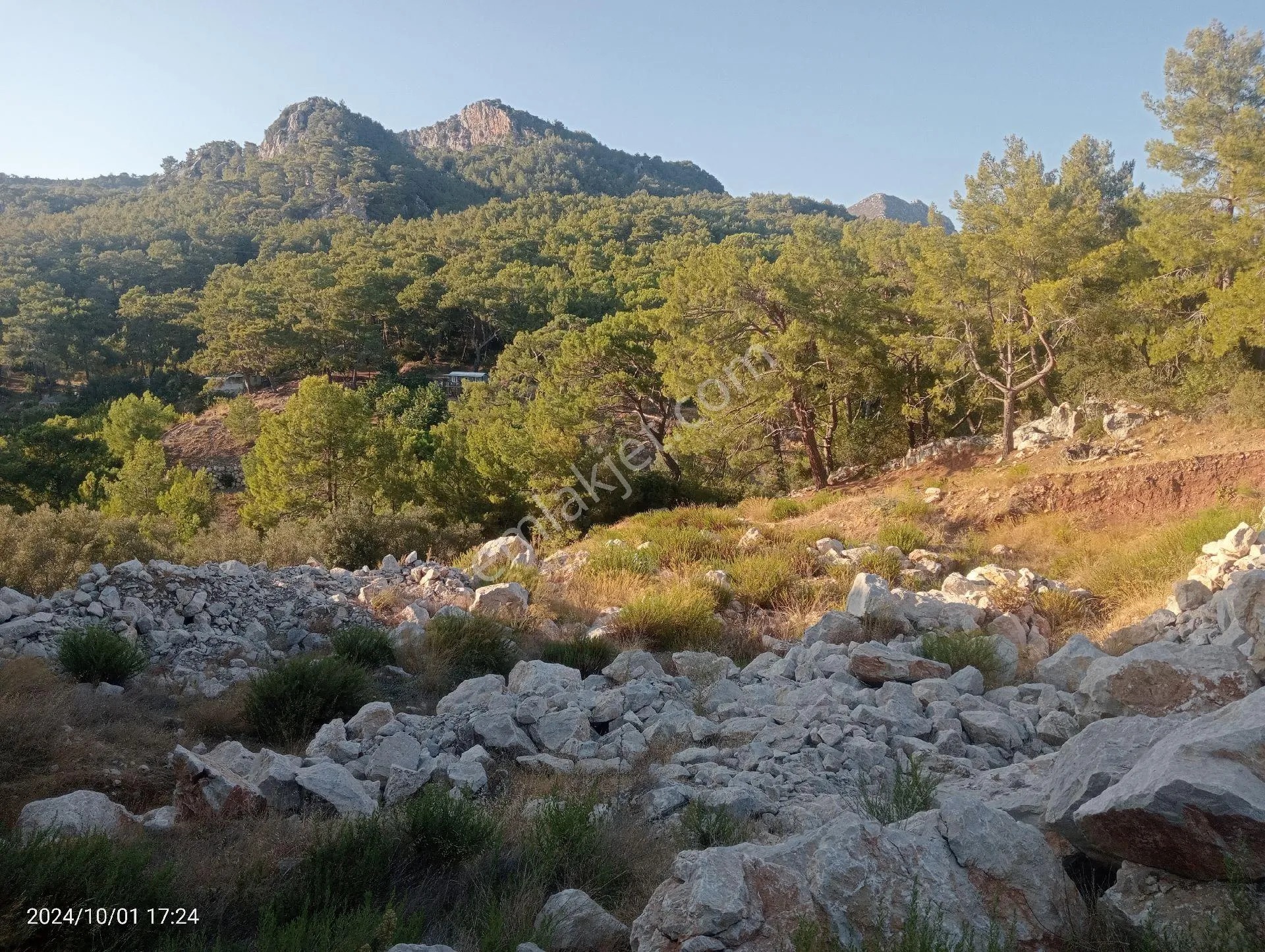 Antalya Kumluca Mavikent'te Satılık Tarla İnceoğlu Emlak - ANTALYA KUMLUCA fotoğraf 28
