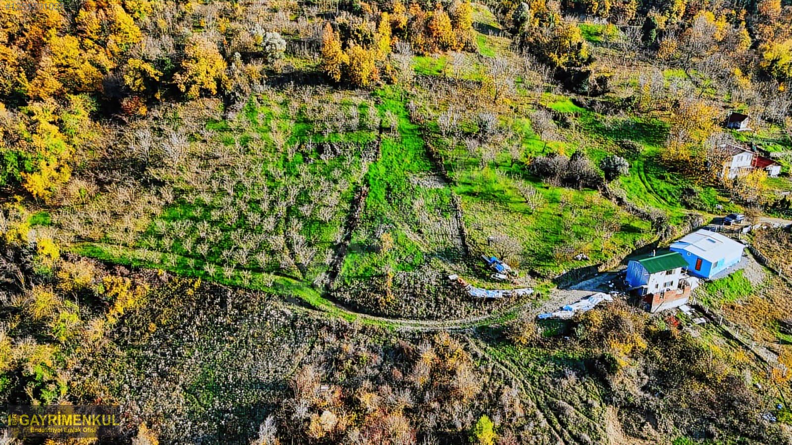 GEYVE DEREKÖYDE 1299 M2 SAKARYA NEHRİ MANZARALI TARLA - SAKARYA GEYVE fotoğraf 31