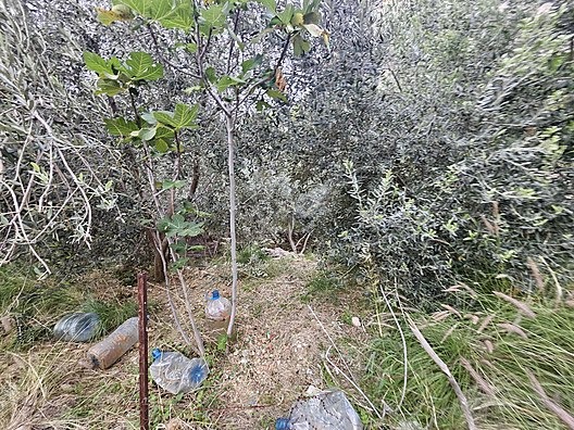 MUHTESEM LOKASYON 258M2 SUPER YATİRİM DUNYA GÖZBEBEĞİ VİLLA ARSA - MUĞLA FETHİYE fotoğraf 31