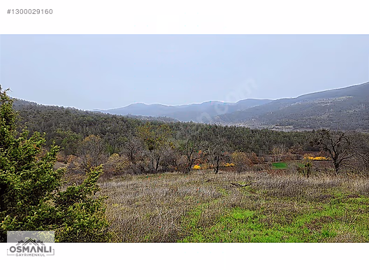 RESMİ YOLLU 800 M2 MANZARALI HOBİ BAHÇESİ - BİLECİK GÖLPAZARI fotoğraf 2