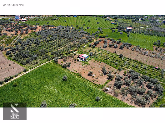 Kemalpaşa Halilbeylide Satılık 3000 m2 Bahçe 40 m2 Ev - İZMİR KEMALPAŞA fotoğraf 29