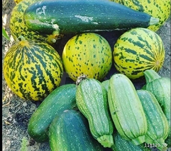 Amasyada refah bir arsamız - AMASYA MERKEZ fotoğraf 3