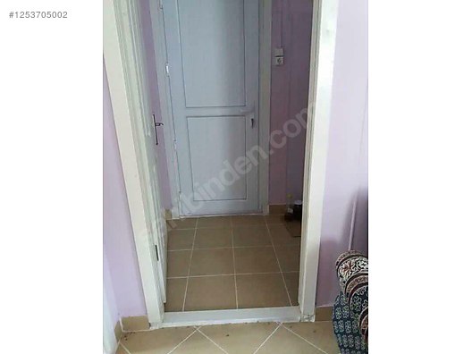 BURSA MUDANYA DEREKÖY KÖYÜNDE 2.526 M²  ZEYTİNLİK SATILIKTIR - BURSA MUDANYA fotoğraf 13
