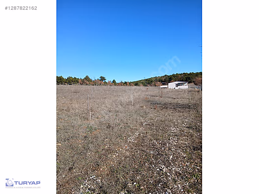 HİSARCIK OVASINDA 7,350 M2 ÇİFTLİK VE BAĞ EVİ İMARLI ARAZİ - BİLECİK OSMANELİ fotoğraf 10