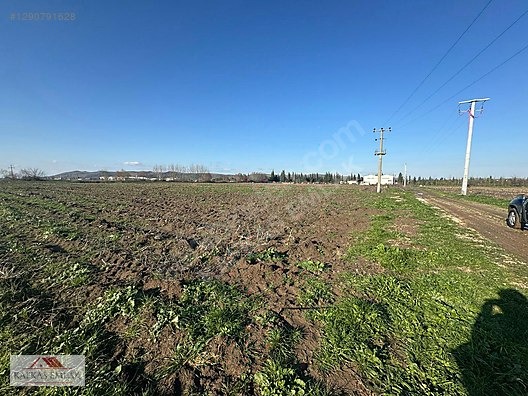 KAVAKLI ÇİFT TARAFI YOL 5.125 M2 YATIRIMLIK ARAZİ