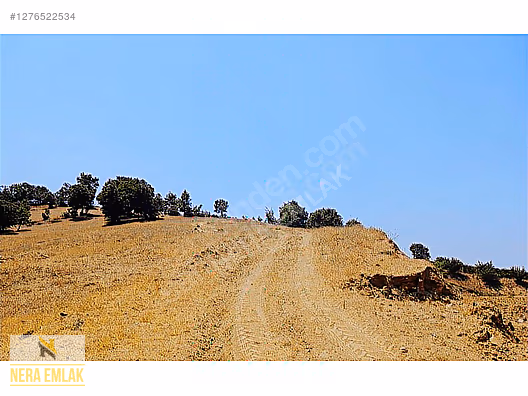 SARIGÖL YENİKÖY'DE ARAÇ TAKASLI UYGUN TEK TAPU 12.190m2 TARLA - MANİSA SARIGÖL fotoğraf 9
